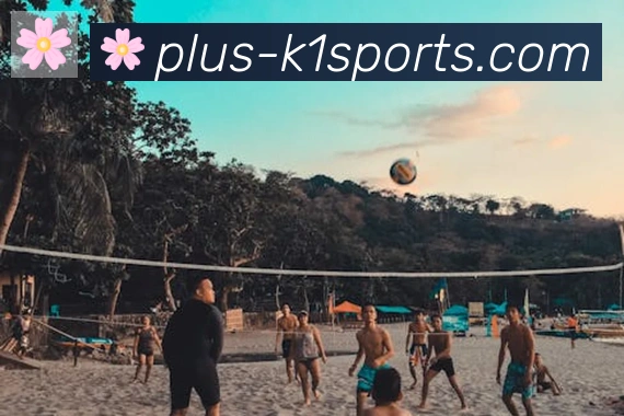 K1体育入口荣誉