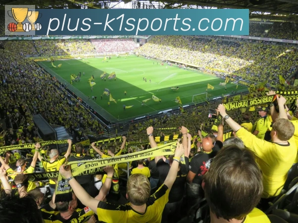 K1体育入口荣誉