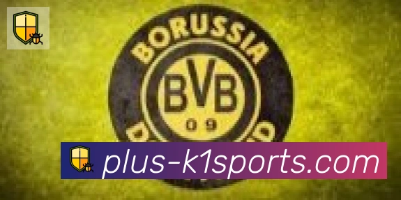 K1体育入口合作伙伴