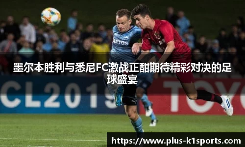 K1体育下载
