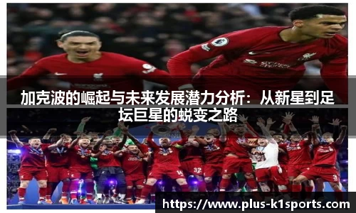 K1体育入口