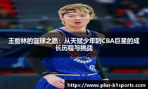 K1体育官网