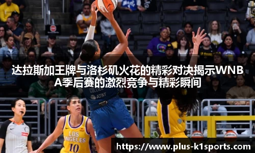 K1体育入口