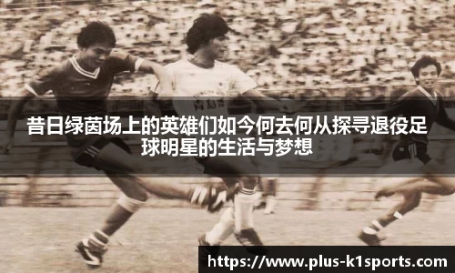 K1体育官网